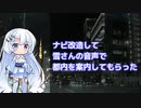 ナビ改造して雪さんに案内してもらった【WhiteCUL】