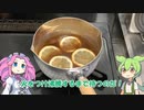 ダイソーに売ってるクラフトコーラが作れるやつを試すのだ！