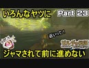 いろんなやつにジャマされて前に進めない【ゼルダの伝説 ブレス オブ ザ ワイルド】PART 23