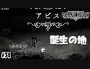 コイツが生まれ落ちた聖地　[Hollow Knight]