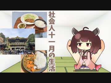 11月の生活