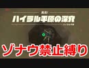 ゾナウ禁止縛りpart4【ティアキン/制限プレイ/ゼルダの伝説ティアーズオブザキングダム】