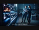 IT Support Companies