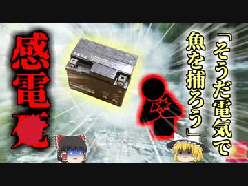 【2011年】「そうだ、川に電気流して魚を大漁ゲットしよう」→自ら感電して〇亡『違法"ビリ漁"感電事故』【ゆっくり解説】