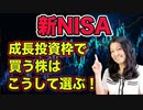 新NISA成長投資枠で買う米国株はこうして選ぶ！