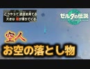 子供は気づいている #18【ゼルダの伝説 ティアーズオブザキングダム】ティアキン