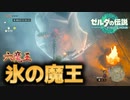育ての親と弓の師匠 #22【ゼルダの伝説 ティアーズオブザキングダム】ティアキン