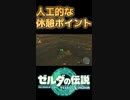誰かが作った場所 #shorts 【ゼルダの伝説 ティアーズオブザキングダム】ティアキン