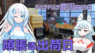 2023年11月29日　農作業日誌P828　ちょっと用事もあったりしつつも、葉大根をたくさん出荷してみたよ