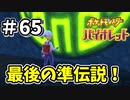 【ポケットモンスター バイオレット】#65　最後の準伝説！どんな奴でも出てこいや！