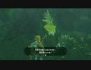 ゼルダの伝説　ブレス オブ ザ ワイルド　実況プレイPart112