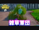 【フォートナイト】「引きこもり雑草軍団？」