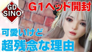 【ラブドール開封】GDSINO#1ヘッド　めちゃくちゃ可愛いけど微妙？【ラブドール　ラブドラ　楽園ドール　相談　質問　Love Doll 】