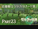 近衛騎士｢行け行け〜笑｣【ゼルダの伝説 ティアーズオブザキングダム】Part23
