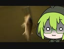 【ソフトウェアトークフィッシング】ずんだもんの釣り7