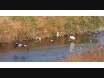 薄くて軽い feat. 初音ミク (Short MV)