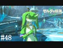 【ゼルダの伝説 Tears of the Kingdom】年上の許嫁【実況】#48