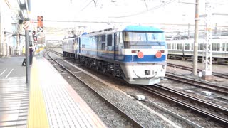 【また】JR貨物EF210-362電気機関車甲種輸送(20231130)【出ました】