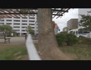 フ　ラ　ン　の　し　っ　ぽ