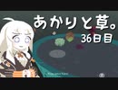 【VIRIDI】あかりと草。36日目【VOICEROID実況】