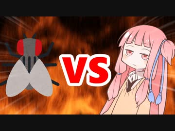 茜ちゃんVSハエ