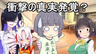 シリアス？セイカさん（よいどれセイカさん24）【VOICEROID劇場】