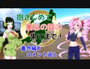 【ついなちゃん車載】抱きしめて！高志の国の果てまで！ 番外編8・コメント返し【Ninja400】
