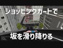 【CART RACER実況】ショッピングカートで坂を滑り降りる遊び