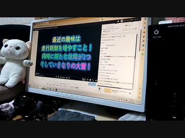 ポコちゃんの日常　2023年11/28～11/30