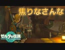 井戸大好き女が現れた#25【ゼルダの伝説 ティアーズオブザキングダム】ティアキン