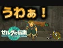 ゴメンナサイ、ゴメンナサイ#26【ゼルダの伝説 ティアーズオブザキングダム】ティアキン
