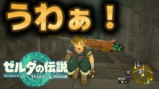 ゴメンナサイ、ゴメンナサイ#26【ゼルダの伝説 ティアーズオブザキングダム】ティアキン