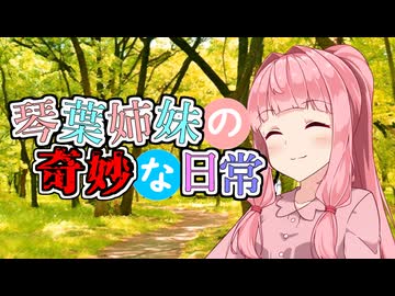 琴葉姉妹の奇妙な日常『さがしもの』【VOICEROID劇場】
