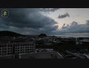 2023.12.01(40倍速)ﾆｺ生TSD