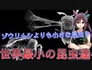 [昆虫]　ゾウリムシよりも小さな世界最小の昆虫達　[VOICEROID解説]