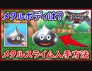 DQM3 メタルスライム入手方法！メタルボディの効果内容は？10枚の小さなメダル入手場所！ドラクエモンスターズ3 攻略 実況プレイ【メイルス】