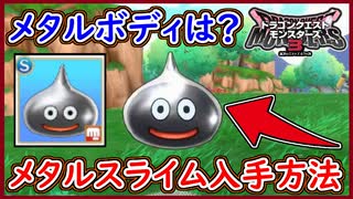 DQM3 メタルスライム入手方法！メタルボディの効果内容は？10枚の小さなメダル入手場所！ドラクエモンスターズ3 攻略 実況プレイ【メイルス】