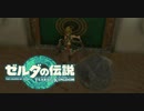 【ゼルダの伝説 】自ら負傷しにいく男 part11