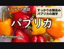 【ｳｨｷﾍﾟﾃﾞｨｱ朗読】 パプリカ 【食文化】【野菜】【まめぞう】　教養　雑学