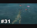 【ゆっくり実況】ゼルダの伝説BotW 4縛り#31