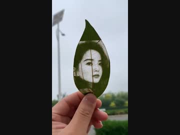 ホモと見る葉っぱに絵を描く機械