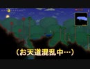 #４お天道とひらぐもの【テラリア実況】