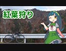 【VOICEROID車載】紅葉の時期しか通れない峠で紅葉狩り【自転車】