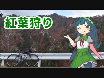 【VOICEROID車載】紅葉の時期しか通れない峠で紅葉狩り【自転車】