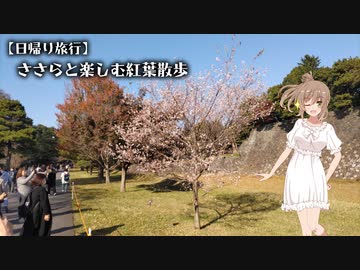 【日帰り旅行】ささらと楽しむ紅葉散歩