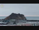 2023.12.02(40倍速)ﾆｺ生TSD