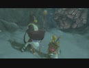 【Switch】リンクがゾナウとゼルダ探し旅【プレイ動画】part97