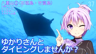 【石垣島・竹富島②(沖縄県)】ゆかりさんとダイビングしませんか？