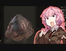 【Wartales】ゆかりさんテイルズ！06