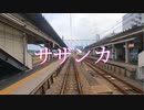 サザンカ